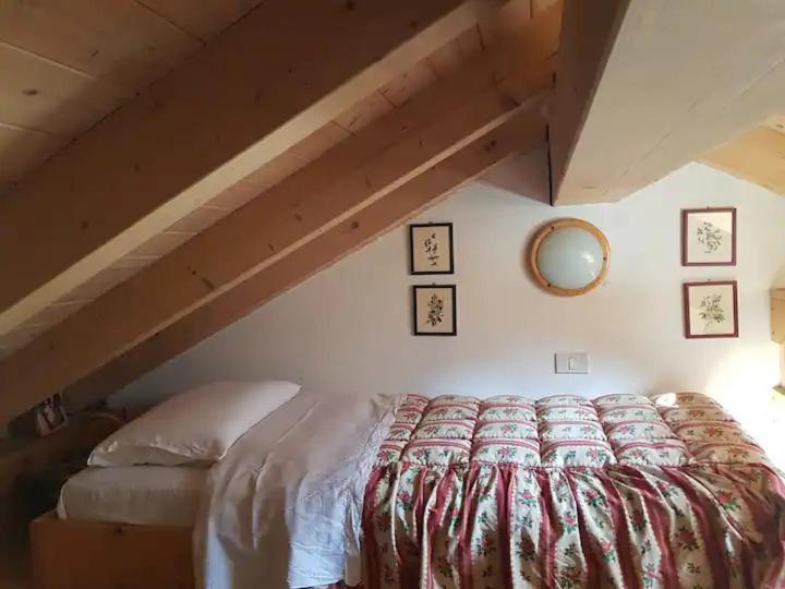 "Fresia" Chalet Turistico A Fisto Apartment Spiazzo  Bagian luar foto